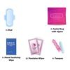 Pink Style Menstrual Kit: Travel-Ready Comfort & Care