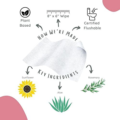 Stall Mates Feminine Fresh Wipes - Flushable & Travel-Ready