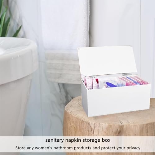 Stylish Acrylic Sanitary Napkin & Tampon Organizer